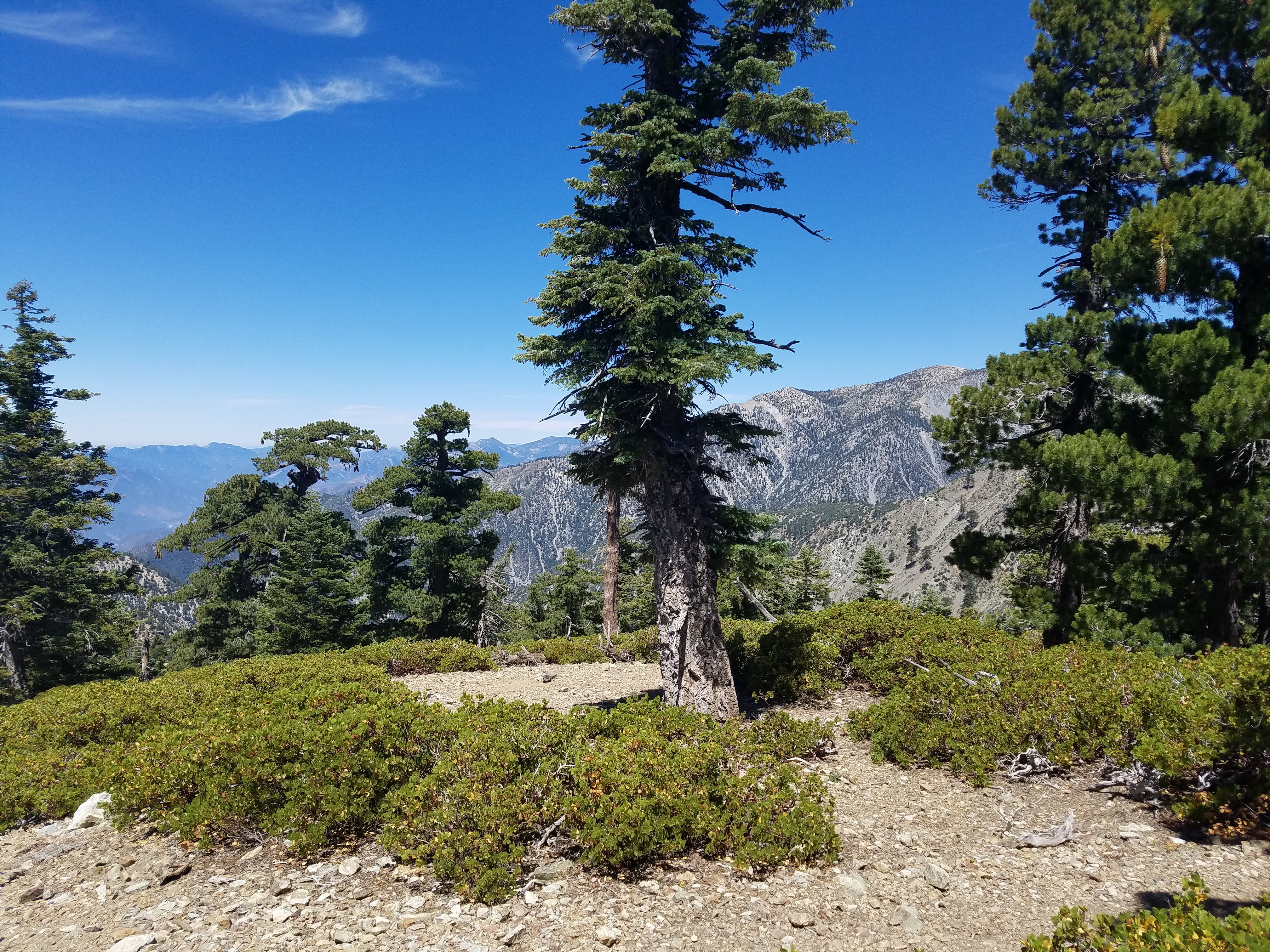 Mt. Baldy